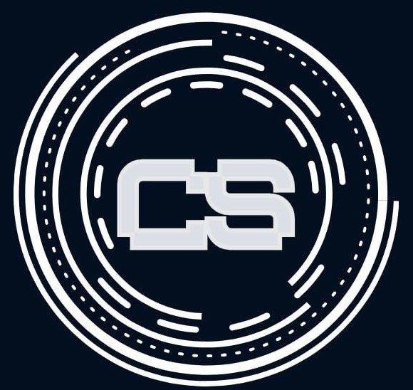 website logo